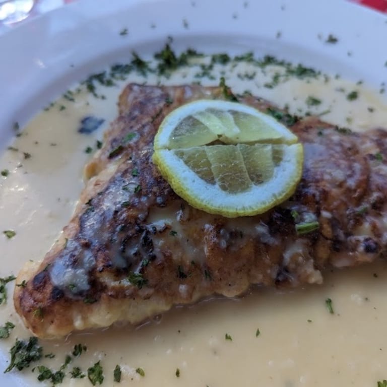 Savor Our Snapper Dishes